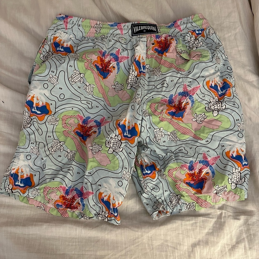 Vilebrequin Swim Short Paint By Number Print (M6)